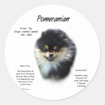 Pomeranian History Design Sticker