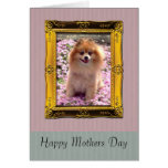 Pomeranian Mothers Day Card | Photo Template