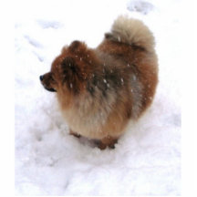 POMERANIAN SCULPTURE MAGNET PHOTO CUT OUT