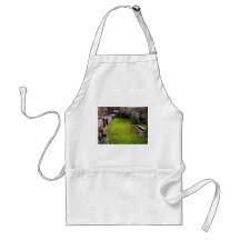Pompeii - Ruins of a House Apron