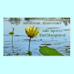 Pond Aquatics Management Business Card Template business cards