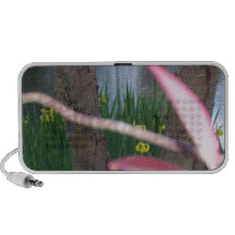 Pond Flora Speaker