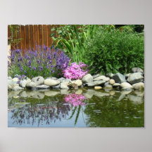 Pond Life in the Summertime Print