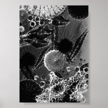Pond LIfe Print