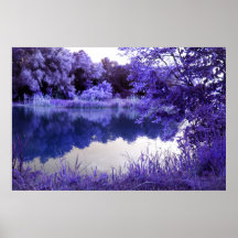 Pond of Blue Poster