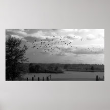 Pond Print