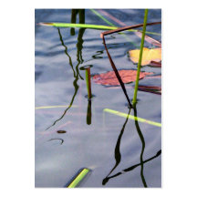 Pond Reflections ATC Business Card