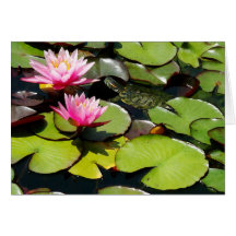 Pond Turtle Stationery Card