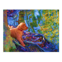 Pondering Pondside Puppy Post Card