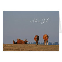 Ponies new job card
