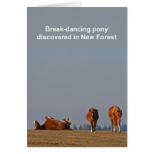 Pony card