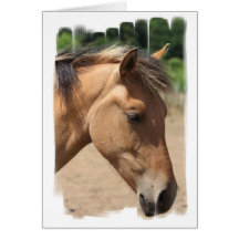 Pony Profile Greeting Card