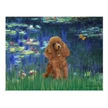 Poodle (Apricot 10) - Lilies 5 Postcard