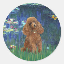 Poodle (Apricot 10) - Lilies 5 Round Sticker