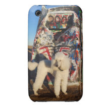 Poodle at Cadillac Ranch iPhone Case iPhone 3 Case