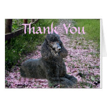 Poodle Black Thank You Card Flowers