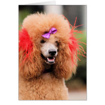 Poodle Day 2010 #1 Card