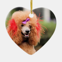 Poodle Day 2010 #1 Christmas Ornament