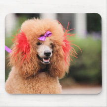 Poodle Day 2010 #1 Mouse Pads