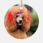 Poodle Day 2010 #1 Ornament