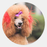 Poodle Day 2010 #1 Sticker
