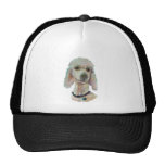 Poodle Pride and Pet Me Products Hat