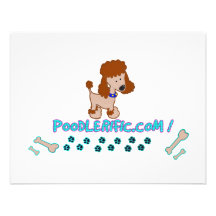 Poodlerific Doggy Goodness !! Announcements