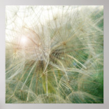 Poof! Print