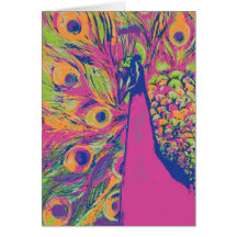 Pop Peacock Cards
