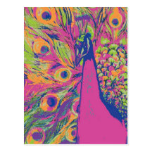 Pop Peacock Postcards