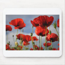 Poppies and Sky Mouse Pad