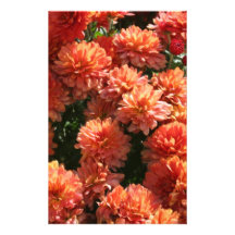 Poppies I Customized Stationery