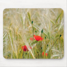 Poppies in a wheat field mouse pad