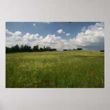Poppies in Fields Print