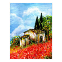 POPPIES IN TUSCANY POSTCARDS