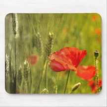 Poppies in wheatfield mouse pad