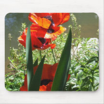 Poppies Mouse Pad