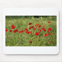 Poppies Mousepad