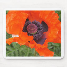 Poppies Mousepads