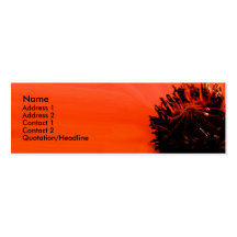 Poppy Business Card Templates