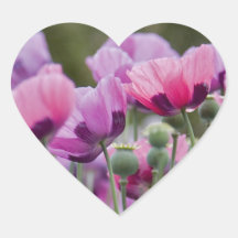 Poppy Field Heart Sticker