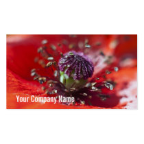 Poppy Heart Custom Business Cards business cards