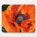 Poppy Mouse Pads