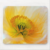 Poppy mousepads