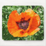 Poppy Mousepads