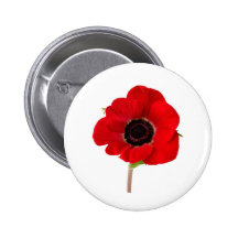 POPPY of Remembrance Pinback Button