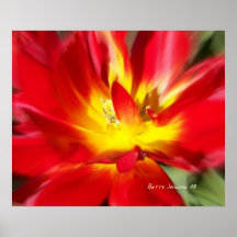 Poppy on Fire! Posters