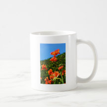 Poppy Photo Coffee Mugs