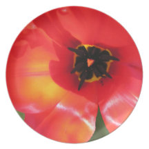 Poppy Plate by Leslie Harlow