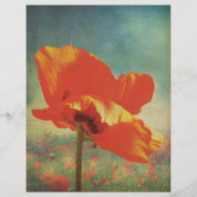 Poppy Poster Full Colour Flyer